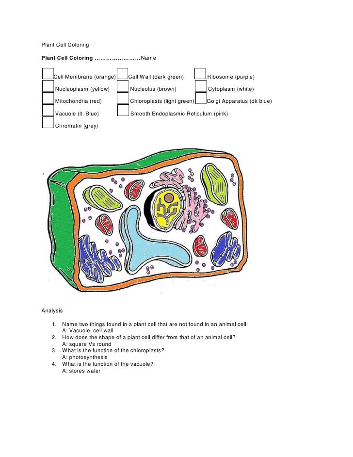 Download Science home work 9.15.2011