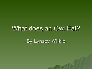 What does an Owl Eat? By Lynsey Wilkie 