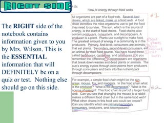 The  RIGHT  side of the notebook contains information given to you by Mrs. Wilson. This is the  ESSENTIAL  information that will DEFINITELY be on a quiz or test.  Nothing else should go on this side.  RIGHT SIDE 