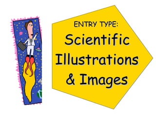 ENTRY TYPE:   Scientific Illustrations & Images 