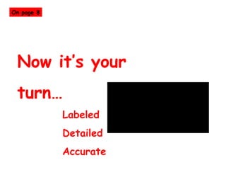 Now it’s your turn… Labeled Detailed Accurate  On page 8 