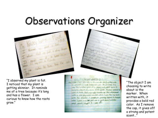 Observations Organizer “ I observed my plant is fat.  I noticed that my plant is getting skinnier.  It reminds me of a tree because it’s long and has a flower.  I am curious to know how the roots grow.” “ The object I am choosing to write about is the marker.  When written with, it provides a bold red color.  As I remove the cap, it gives off a strong and potent scent…” 