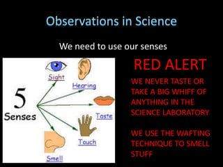 Observations in Science
We need to use our senses
RED ALERT
WE NEVER TASTE OR
TAKE A BIG WHIFF OF
ANYTHING IN THE
SCIENCE LABORATORY
WE USE THE WAFTING
TECHNIQUE TO SMELL
STUFF
 