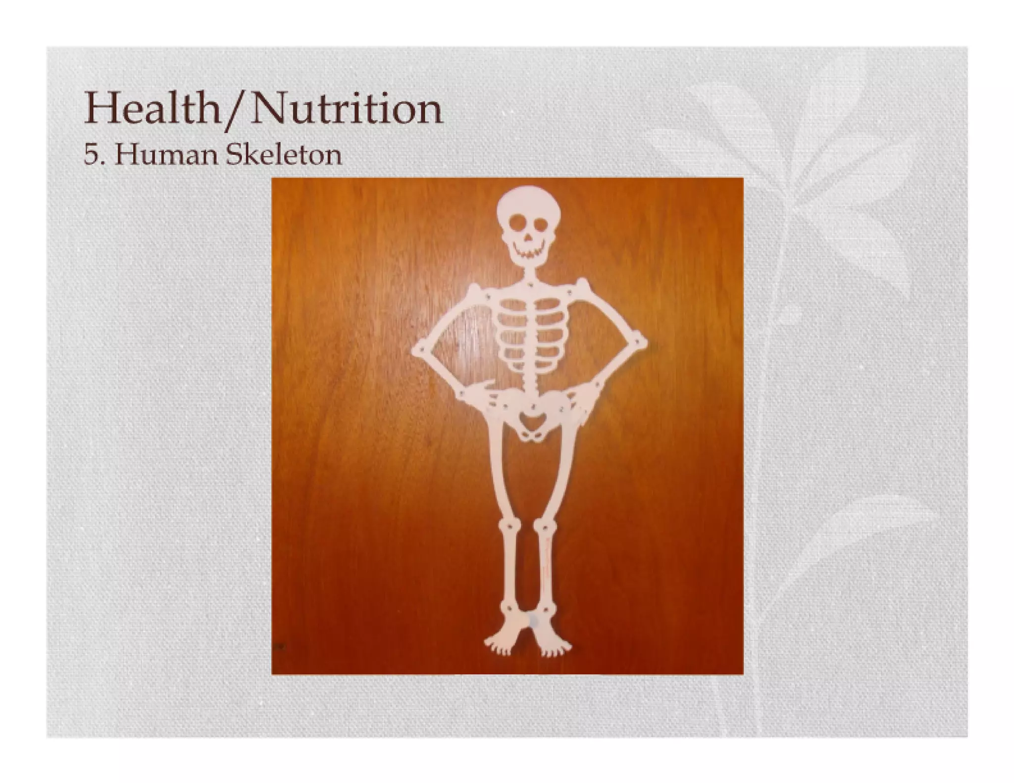 Science item collection