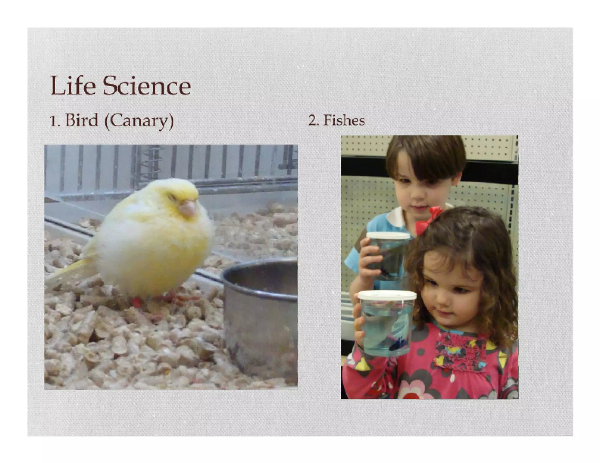 Science item collection