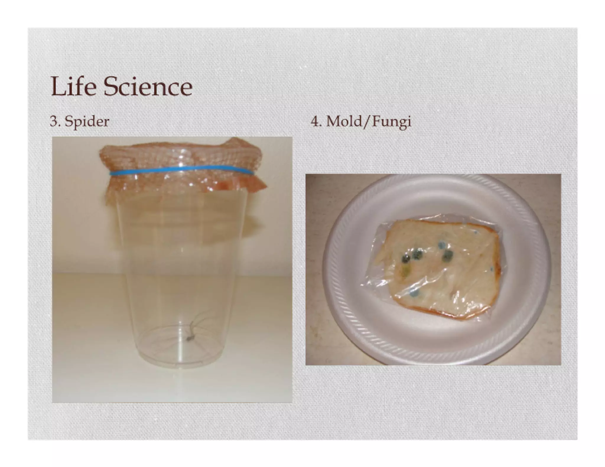 Science item collection