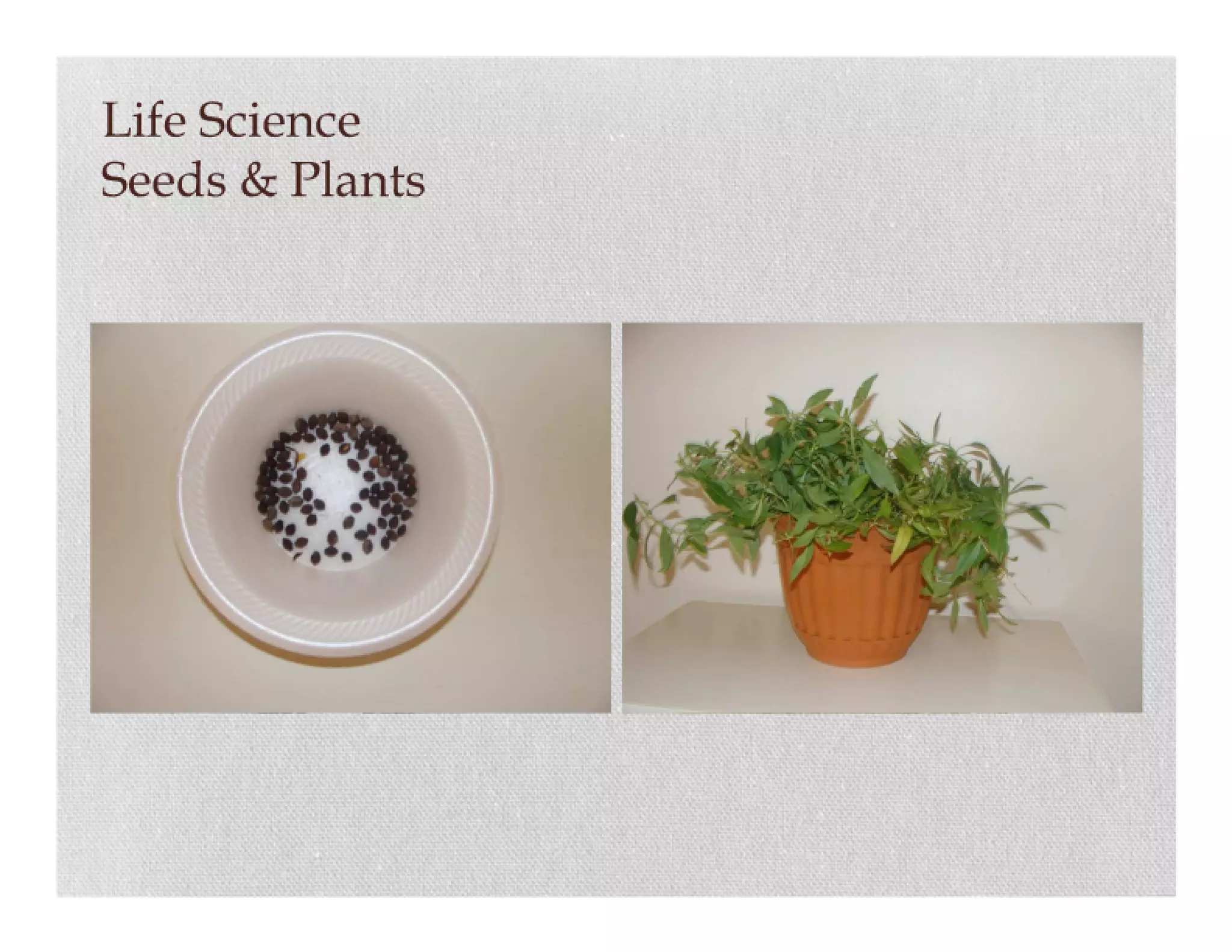 Science item collection