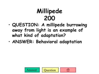 Millipede 200 QUESTION: A millipede burrowing away from light is an example of what kind of adaptation? ANSWER: Behavioral adaptation 