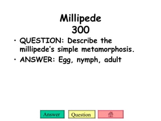 Millipede 300 QUESTION: Describe the millipede’s simple metamorphosis. ANSWER: Egg, nymph, adult 