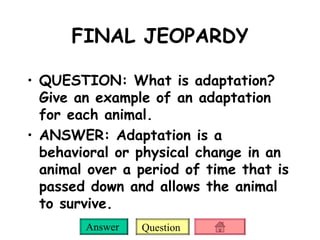FINAL JEOPARDY QUESTION: What is adaptation?  Give an example of an adaptation for each animal.  ANSWER: Adaptation is a behavioral or physical change in an animal over a period of time that is passed down and allows the animal to survive.  
