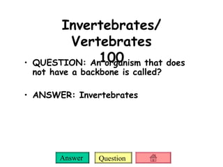 Invertebrates/ Vertebrates 100 QUESTION: An organism that does not have a backbone is called? ANSWER:   Invertebrates 