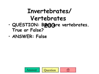 Invertebrates/ Vertebrates  200 QUESTION: Bees are vertebrates. True or False? ANSWER: False 