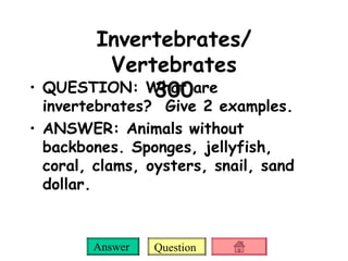 Invertebrates/ Vertebrates 300 QUESTION: What are invertebrates?  Give 2 examples.  ANSWER: Animals without backbones. Sponges, jellyfish, coral, clams, oysters, snail, sand dollar. 