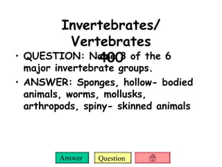 Invertebrates/ Vertebrates 400 QUESTION: Name 3 of the 6 major invertebrate groups. ANSWER: Sponges, hollow- bodied animals, worms, mollusks, arthropods, spiny- skinned animals 