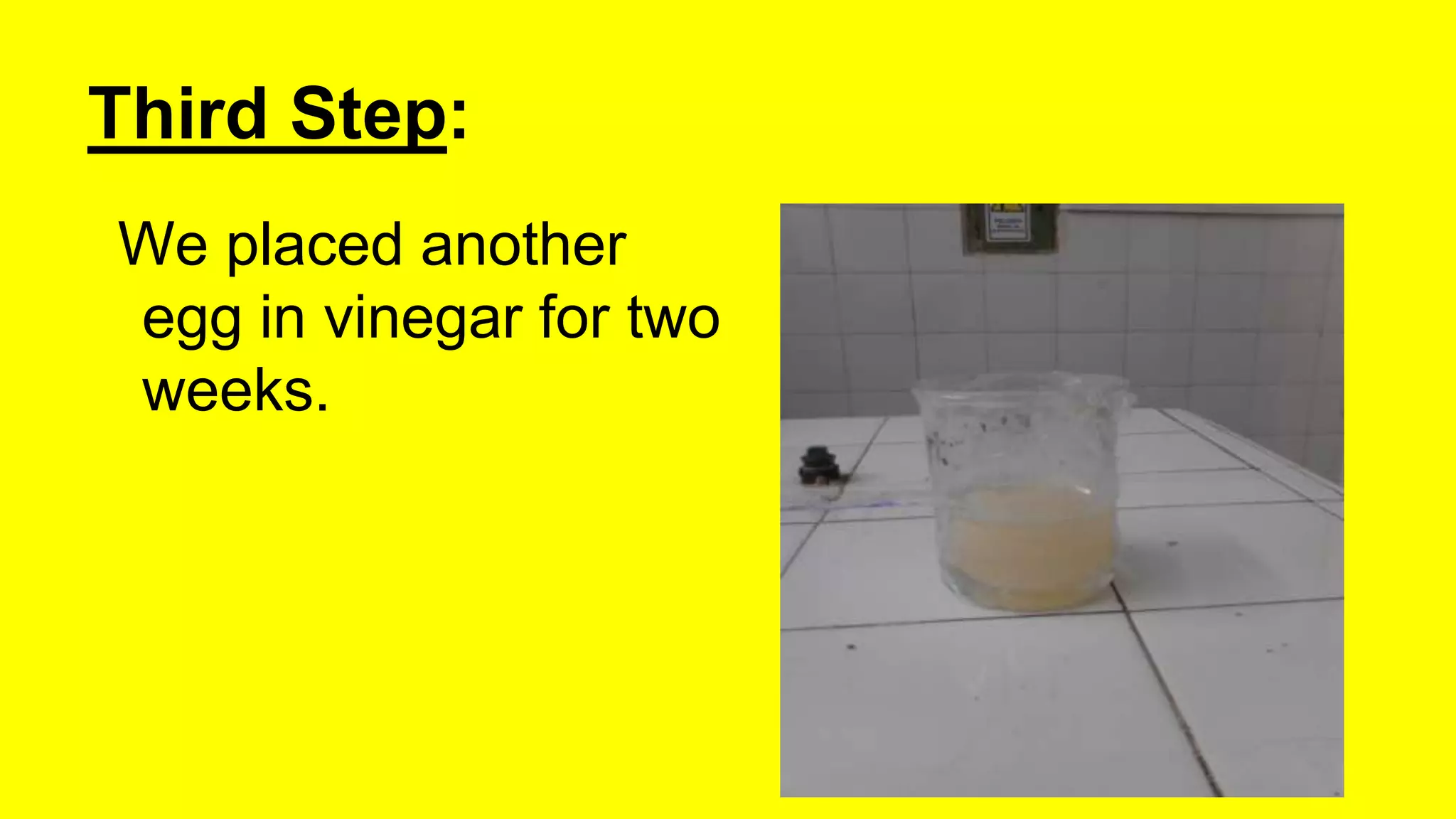 Science Junior 7 Microorganisms PPTX Science Junior 7 Microorganisms PPTX