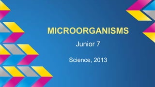 MICROORGANISMS
Junior 7
Science, 2013

 