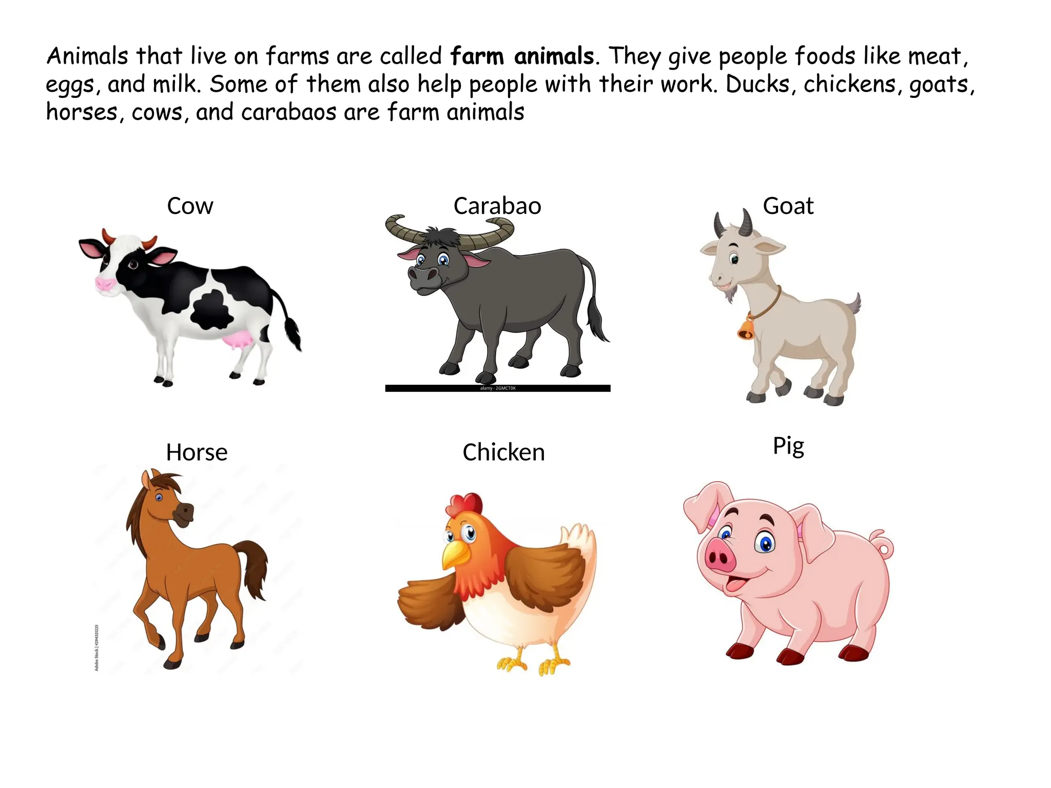 Science K2 Animals.pptxScience K2 Animals.pptx