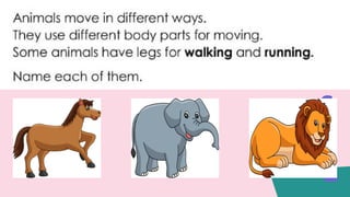 Science K2 Lesson 7 Movement.pptxScience K2 Lesson 7 Movement.pptx
