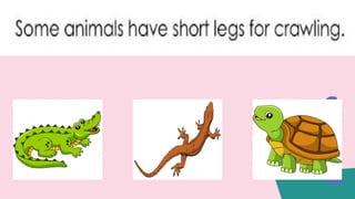 Science K2 Lesson 7 Movement.pptxScience K2 Lesson 7 Movement.pptx