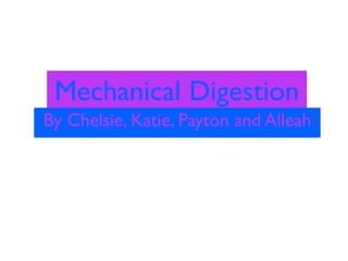 Mechanical Digestion
By Chelsie, Katie, Payton and Alleah
 