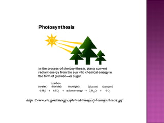 https://www.eia.gov/energyexplained/images/photosynthesis1.gif
 