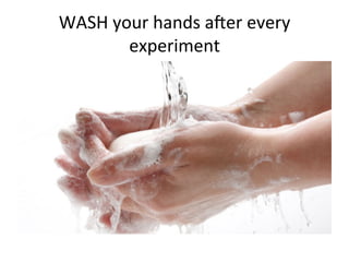 WASH
your
hands
aMer
every
experiment
