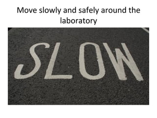 Move
slowly
and
safely
around
the
laboratory