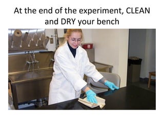 At
the
end
of
the
experiment,
CLEAN
and
DRY
your
bench