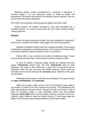 234
Anabaena azollae, another cyanobacterium is important in agriculture. It
converts nitrogen in air into compounds usable by plants for growth and
development. The same is being done by the Rhizobium group of bacteria. They are
present in the root nodules of legumes.
Q18. What is the advantage of planting legumes together with other crops?
Certain bacteria, like Bacillus thuringiensis, have been developed into a
microbial pesticide. It is used to control pests and and insects carrying disease-
causing organisms.
Protists
Earlier you were introduced to protists. Are they prokaryotes or eukaryotes?
What can you remember from Grade 7 about algae? How were they classified?
Members of Kingdom Protista come from unrelated ancestors. This grouping
is referred to by biologists as an artificial grouping. The inclusion of the large number
of unicellular organisms under this kingdom is just for convenience.
Protists differ in size, movement and method of obtaining energy. Though
most of protists are microscopic, some can grow to as high as several meters.
In terms of method in obtaining energy, protists are classified into three
groups. Phototrophs produce their own food. Heterotrophs feed on other
organisms. This group is also divided into a group with no permanent part for
movement, those with cilia, and those with limited movement. Others which are
nonmotile and form spores belong to the sporozoan group. Members of this group
are all parasitic.
Phototrophs are like plants in that they have chlorophyll. This group includes
the algae, dinoflagellates, and euglenoids.
Algae may be green, golden, brown or red. The chlorophyll in green algae is
not masked in contrast to the other members of the group. The carbohydrate that
green algae produce is stored as starch. They grow on wet, humid rocks or bark of
trees, in non-flowing canals, in seas, freshwater bodies and even polluted
waterways. Green algae differ in size and shape. Some are unicellular; others form
colonies, sheets, filaments, tubes and ribbons (Figure 5). Some green algae are
edible. The marine green alga Caulerpa lentillifera is eaten fresh as salad.
 
