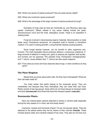 241
Q24. Where are spores of yeasts produced? How are yeast spores called?
Q25. Where are mushroom spores produced?
Q26. What is the advantage of the large numbers of spores produced by fungi?
Examples of fungi used as food are Volvariella sp. and Pleurotus sajor-caju
(oyster mushroom). Others utilized in soy sauce making include the yeast,
Saccharomyces rouxii and the mold, Aspergillus oryzae. Yeast is an ingredient in
making bread.
Fungi are involved in decomposing organic materials. Decomposition is made
faster using Trichoderma harzianum. An important mold to mention is Penicillium
notatum. It is used in making penicillin, a drug that kills disease-causing bacteria.
Some fungal species however, can be harmful to other organisms and
humans. The mold Aspergillus flavus produces aflatoxin, a poisonous substance. If
large amounts of aflatoxin in moldy corn, garlic or peanuts are ingested, both poultry
and humans can be poisoned. The parasitic fungi Trichophyton mentagrophytes
and T. rubrum, cause athlete’s foot. T. rubrum can also cause ringworm.
Q27. From what you know and have observed about fungi, in what conditions do they
grow?
The Plant Kingdom
Recall what you know about plant cells. Do they have chloroplasts? What are
their cell walls made of?
You knew earlier that plants belong to the eukaryote group. They are
multicellular and because they have chlorophyll, they can make their own food.
Plants consist of two big groups: those which do not have tissues to transport water
and food (nonvascular) and those that have this transport system (vascular).
Nonvascular Plants
Have you noticed green patches attached to stones or cement walls especially
during the rainy season or in moist, wet and shady areas?
Liverworts, mosses and hornworts (Figure 13) are nonvascular plants. They are
attached to the places where they live by means of their root-like rhizoids. These
rhizoids absorb water and nutrients instead of true roots. They also do not have true
 