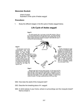 257
Materials Needed:
sheet of paper
illustration of life cycle of Aedes aegypti
Procedure:
1. Study the different stages in the life cycle of Aedes aegypti below.
Life Cycle of Aedes aegypti
Q52. How does the adult of this mosquito look?
Q53. Describe the breeding place of A. aegypti.
Q54. In which places in your home, school or surroundings can this mosquito breed?
Name at least 5.
Stage IV:
The adult mosquito stay in cool areas on land after hatching. It flies as
far as one hundred meters to mate and look for food. The male mosquitoes
feed on flower nectar and are usually found near breeding sites. It is the
female mosquito that bites animals and people to feed itself with blood. It
continues the cycle by laying eggs.
Stage I:
Female mosquitoes lay eggs
in clean and non-flowing water.
Examples are rainwater that has
collected in old unused tires and
those in flower vases. The eggs
are white but later turn into shiny
black. Usually this stage may
last for only minutes to two days
in warm climates but can reach a
week in cooler temperatures.
Eggs can survive even for a year
and are immediately hatched
once submerged in water
Stage II:
Mosquito eggs hatch into larva (plural: larvae). It is the second and the
most easily seen stage of mosquito development. A larva always lives in
water and eats a lot of algae and organic matter. It breathes in air from
above the water surface through a tube called siphon. When disturbed, it
dives down to the bottom, so it is also called a “wriggler.” It returns to the
surface to breathe. This stage usually lasts about five to seven days.
Stage III:
The third stage consists of the
comma-shaped pupa which
continue to stay at the water
surface. The pupa breathes
through two small tubes called
“trumpets.” It dives downwards
quickly when disturbed. It stops
eating and grows shorter. Then,
it encases itself with a hard
covering. Inside the pupal case,
it continues to change and grow.
This stage takes only about two
to three days. If the water dries
up before the next stage, the
organism dies.
 