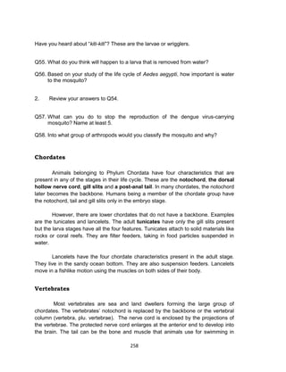 258
Have you heard about “kiti-kiti”? These are the larvae or wrigglers.
Q55. What do you think will happen to a larva that is removed from water?
Q56. Based on your study of the life cycle of Aedes aegypti, how important is water
to the mosquito?
2. Review your answers to Q54.
Q57. What can you do to stop the reproduction of the dengue virus-carrying
mosquito? Name at least 5.
Q58. Into what group of arthropods would you classify the mosquito and why?
Chordates
Animals belonging to Phylum Chordata have four characteristics that are
present in any of the stages in their life cycle. These are the notochord, the dorsal
hollow nerve cord, gill slits and a post-anal tail. In many chordates, the notochord
later becomes the backbone. Humans being a member of the chordate group have
the notochord, tail and gill slits only in the embryo stage.
However, there are lower chordates that do not have a backbone. Examples
are the tunicates and lancelets. The adult tunicates have only the gill slits present
but the larva stages have all the four features. Tunicates attach to solid materials like
rocks or coral reefs. They are filter feeders, taking in food particles suspended in
water.
Lancelets have the four chordate characteristics present in the adult stage.
They live in the sandy ocean bottom. They are also suspension feeders. Lancelets
move in a fishlike motion using the muscles on both sides of their body.
Vertebrates
Most vertebrates are sea and land dwellers forming the large group of
chordates. The vertebrates’ notochord is replaced by the backbone or the vertebral
column (vertebra, plu. vertebrae). The nerve cord is enclosed by the projections of
the vertebrae. The protected nerve cord enlarges at the anterior end to develop into
the brain. The tail can be the bone and muscle that animals use for swimming in
 