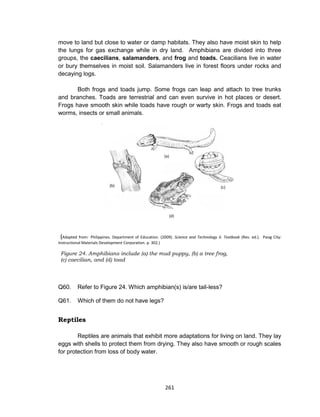 261
move to land but close to water or damp habitats. They also have moist skin to help
the lungs for gas exchange while in dry land. Amphibians are divided into three
groups, the caecilians, salamanders, and frog and toads. Ceacilians live in water
or bury themselves in moist soil. Salamanders live in forest floors under rocks and
decaying logs.
Both frogs and toads jump. Some frogs can leap and attach to tree trunks
and branches. Toads are terrestrial and can even survive in hot places or desert.
Frogs have smooth skin while toads have rough or warty skin. Frogs and toads eat
worms, insects or small animals.
(Adapted from: Philippines. Department of Education. (2009). Science and Technology II. Textbook (Rev. ed.). Pasig City:
Instructional Materials Development Corporation. p. 302.)
Figure 24. Amphibians include (a) the mud puppy, (b) a tree frog,
(c) caecilian, and (d) toad
Q60. Refer to Figure 24. Which amphibian(s) is/are tail-less?
Q61. Which of them do not have legs?
Reptiles
Reptiles are animals that exhibit more adaptations for living on land. They lay
eggs with shells to protect them from drying. They also have smooth or rough scales
for protection from loss of body water.
(b)
(a)
(c)
(d)
 