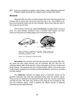 264
Q64. If you live somewhere in eastern Luzon, Samar, Leyte or Mindanao where the
Philippine eagles specifically live, suggest ways to protect their habitat.
Mammals
Mammals differ from other animals because they have mammary glands that
produce milk to nourish their young and most have hair or fur. They breathe in air,
have four-chambered hearts and are warm-bloodied. Most of them also give birth to
live young and care for them.
The first group of mammals, called monotremes, lay eggs similar to those of
birds. The spiny anteater (echidnas) living in Australia, New Zealand and New
Guinea as well as the duck-billed platypus are monotremes (Figure 26).
(Source: Philippines. Department of Education. (2009). Science and
Technology II. Textbook (Rev. ed.). Pasig City: Instructional Materials
Development Corporation. p. 306).
Figure 26. Examples of Monotremes.
Marsupials or the pouched mammals also give birth to live young. After birth,
the young are kept inside pouches and are nourished with the milk from the
mammary glands within these pouches. Some marsupials are found in Central and
South America. The opossum lives only in North America. Others, such as the more
familiar koalas, kangaroos and wombats and flying phalangers, are found in Australia
and New Zealand.
The eutherians comprise the largest group of mammals. Known as the
placental mammals, they bear fully developed young inside the mother’s uterus.
These young are attached to the placenta through which they receive nourishment
until they are born. After birth, they continue to be cared for and nourished by milk
from the mammary glands. Table 2 presents the different groups of placental
mammals and their representatives.
 