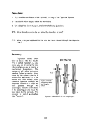 304
Procedure:
1. Your teacher will show a movie clip titled, Journey of the Digestive System.
2. Take down notes as you watch the movie clip.
3. On a separate sheet of paper, answer the following questions.
Q16. What does the movie clip say about the digestion of food?
Q17. What changes happened to the food as it was moved through the digestive
tract?
Summary
Digestion starts when
food is taken into the mouth.
This is called ingestion. As you
chew, you are breaking the food
into small pieces as a means of
mechanical breakdown. The
pieces mix with saliva before you
swallow. Saliva is a watery liquid
made by the salivary glands. It
softens and wets the food in the
mouth and also initially starts
chemical digestion through the
enzymes present in it. Then the
food passes through the
esophagus. Muscle contractions
in the esophagus help move the
food down to the stomach. This
process is called peristalsis
(see Figure 4). Figure 4. Peristalsis in the esophagus.
 
