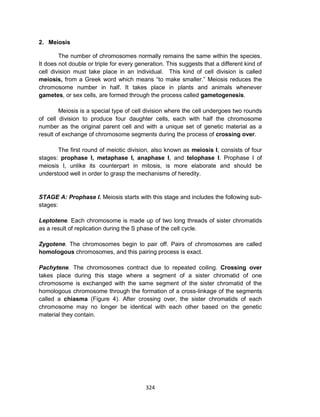 324
2. Meiosis
The number of chromosomes normally remains the same within the species.
It does not double or triple for every generation. This suggests that a different kind of
cell division must take place in an individual. This kind of cell division is called
meiosis, from a Greek word which means “to make smaller.” Meiosis reduces the
chromosome number in half. It takes place in plants and animals whenever
gametes, or sex cells, are formed through the process called gametogenesis.
Meiosis is a special type of cell division where the cell undergoes two rounds
of cell division to produce four daughter cells, each with half the chromosome
number as the original parent cell and with a unique set of genetic material as a
result of exchange of chromosome segments during the process of crossing over.
The first round of meiotic division, also known as meiosis I, consists of four
stages: prophase I, metaphase I, anaphase I, and telophase I. Prophase I of
meiosis I, unlike its counterpart in mitosis, is more elaborate and should be
understood well in order to grasp the mechanisms of heredity.
STAGE A: Prophase I. Meiosis starts with this stage and includes the following sub-
stages:
Leptotene. Each chromosome is made up of two long threads of sister chromatids
as a result of replication during the S phase of the cell cycle.
Zygotene. The chromosomes begin to pair off. Pairs of chromosomes are called
homologous chromosomes, and this pairing process is exact.
Pachytene. The chromosomes contract due to repeated coiling. Crossing over
takes place during this stage where a segment of a sister chromatid of one
chromosome is exchanged with the same segment of the sister chromatid of the
homologous chromosome through the formation of a cross-linkage of the segments
called a chiasma (Figure 4). After crossing over, the sister chromatids of each
chromosome may no longer be identical with each other based on the genetic
material they contain.
 
