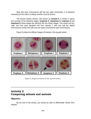 326
Note that each chromosome still has two sister chromatids; it is therefore
necessary for the cells to undergo another round of division.
The second meiotic division, also known as meiosis II, is mitotic in nature
and consists of the following stages: prophase II, metaphase II, anaphase II and
telophase II; these stages are identical with the mitotic stages. The results are four
cells, two from each daughter cell from meiosis I, with one half the diploid
chromosome number and with only one sister chromatid for each chromosome.
Figure 5 shows the different stages of meiosis in the squash anther.
Figure 5. Stages of meiosis in the squash anther.
_____________________________________________________
Activity 2
Comparing mitosis and meiosis
Objective:
By the end of the activity, you should be able to differentiate mitosis from
meiosis.
 