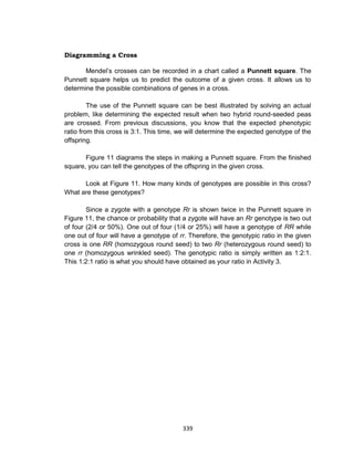 339
Diagramming a Cross
Mendel’s crosses can be recorded in a chart called a Punnett square. The
Punnett square helps us to predict the outcome of a given cross. It allows us to
determine the possible combinations of genes in a cross.
The use of the Punnett square can be best illustrated by solving an actual
problem, like determining the expected result when two hybrid round-seeded peas
are crossed. From previous discussions, you know that the expected phenotypic
ratio from this cross is 3:1. This time, we will determine the expected genotype of the
offspring.
Figure 11 diagrams the steps in making a Punnett square. From the finished
square, you can tell the genotypes of the offspring in the given cross.
Look at Figure 11. How many kinds of genotypes are possible in this cross?
What are these genotypes?
Since a zygote with a genotype Rr is shown twice in the Punnett square in
Figure 11, the chance or probability that a zygote will have an Rr genotype is two out
of four (2/4 or 50%). One out of four (1/4 or 25%) will have a genotype of RR while
one out of four will have a genotype of rr. Therefore, the genotypic ratio in the given
cross is one RR (homozygous round seed) to two Rr (heterozygous round seed) to
one rr (homozygous wrinkled seed). The genotypic ratio is simply written as 1:2:1.
This 1:2:1 ratio is what you should have obtained as your ratio in Activity 3.
 