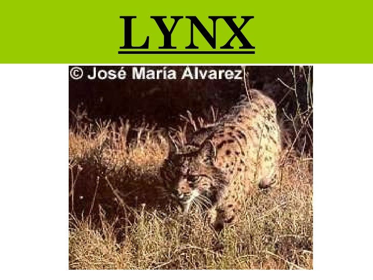 Science lesson. Spanish habitats