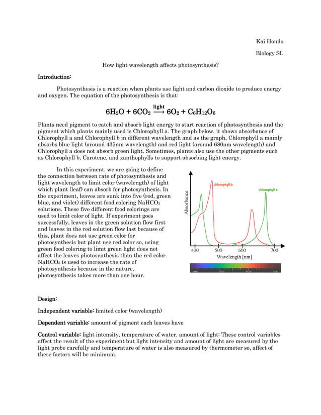 Science light colour photosynthesis PDF