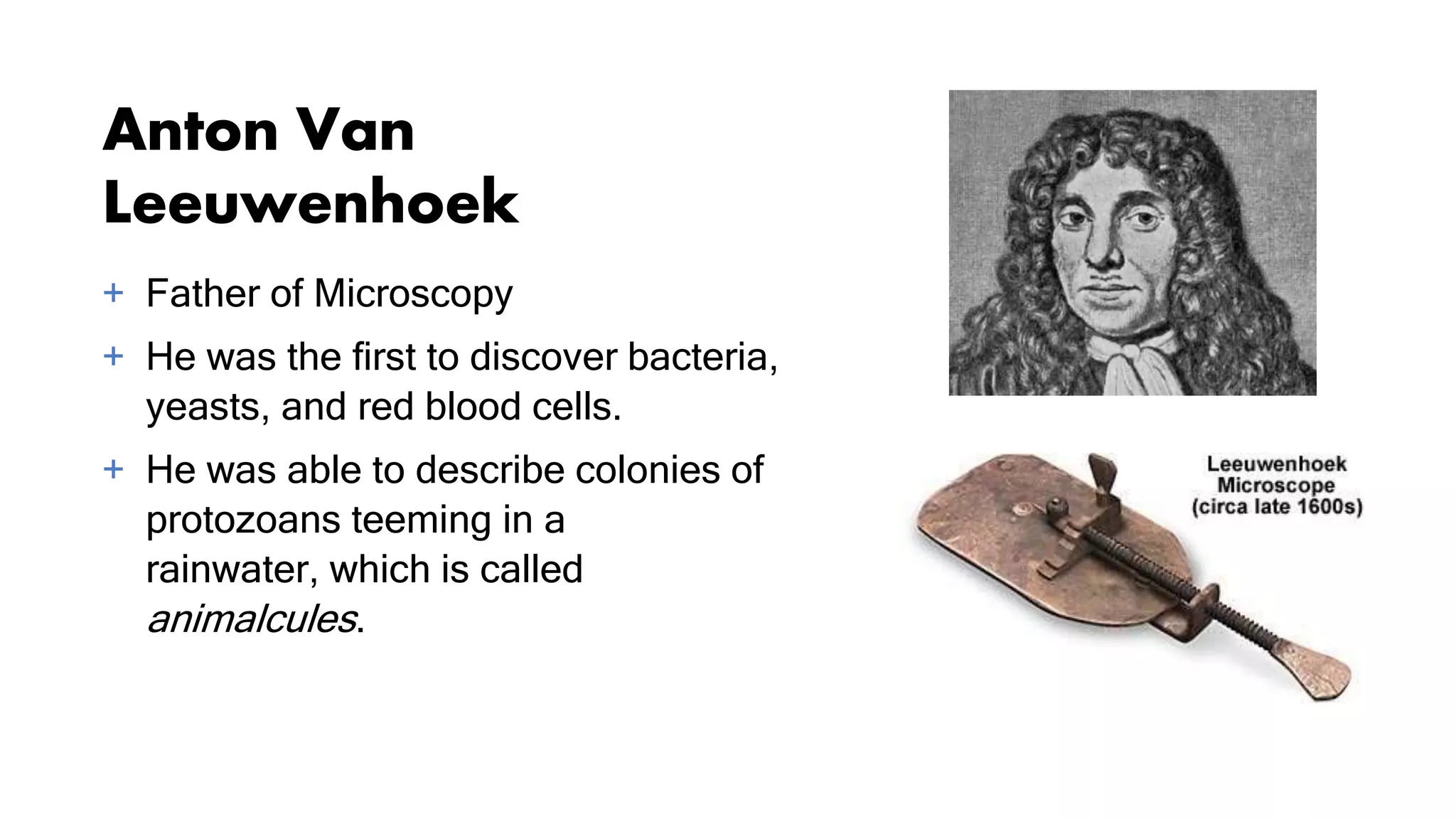 Anton Van
Leeuwenhoek
+ Father of Microscopy
+ He was the first to discover bacteria,
yeasts, and red blood cells.
+ He was able to describe colonies of
protozoans teeming in a
rainwater, which is called
animalcules.
 