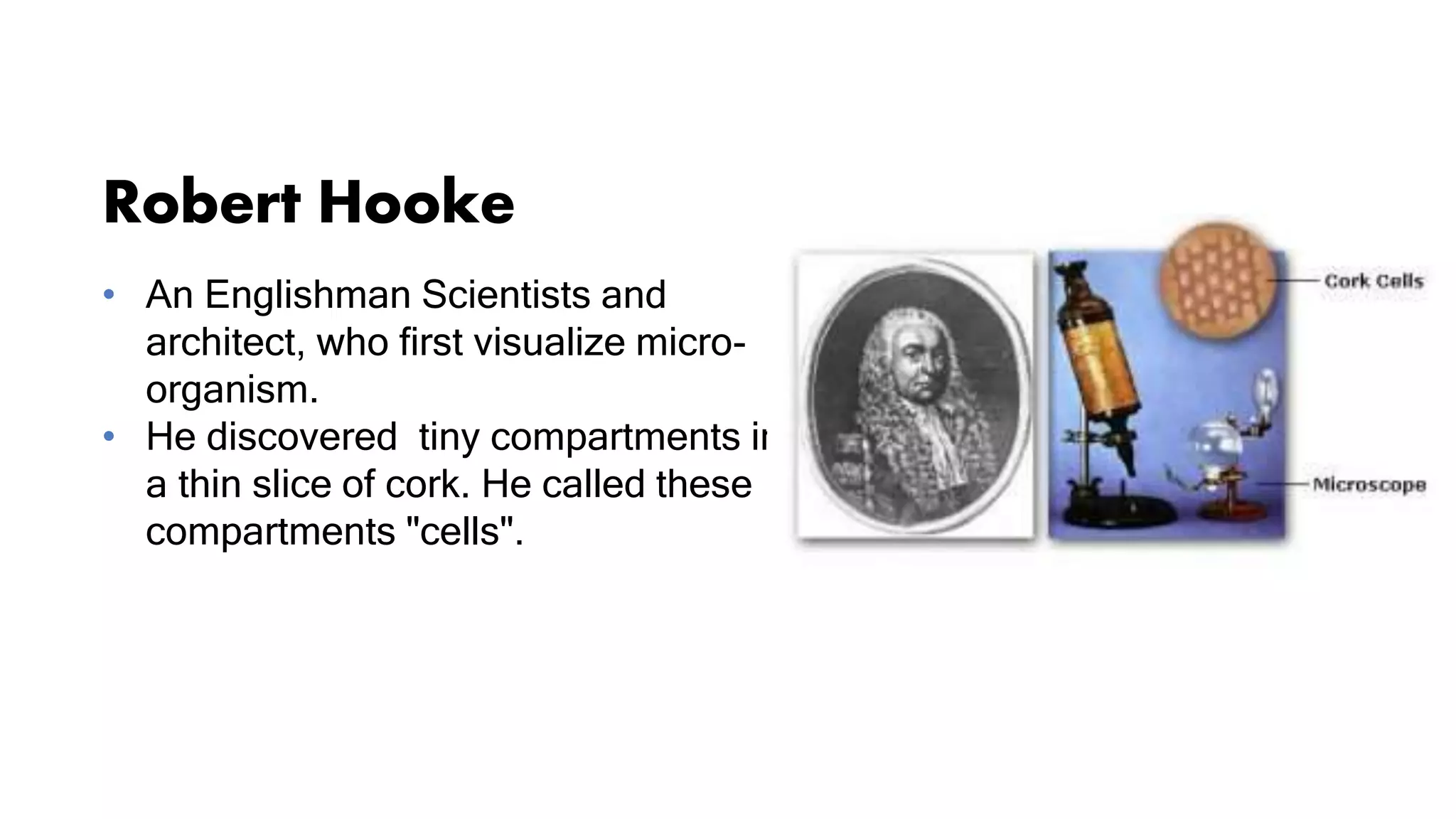 Robert Hooke
• An Englishman Scientists and
architect, who first visualize micro-
organism.
• He discovered tiny compartments in
a thin slice of cork. He called these
compartments "cells".
 