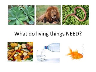 What do living things NEED?
 
