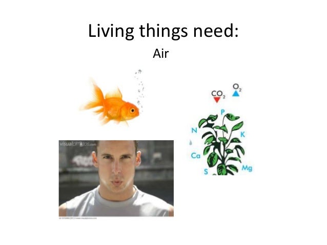 livingthings needs