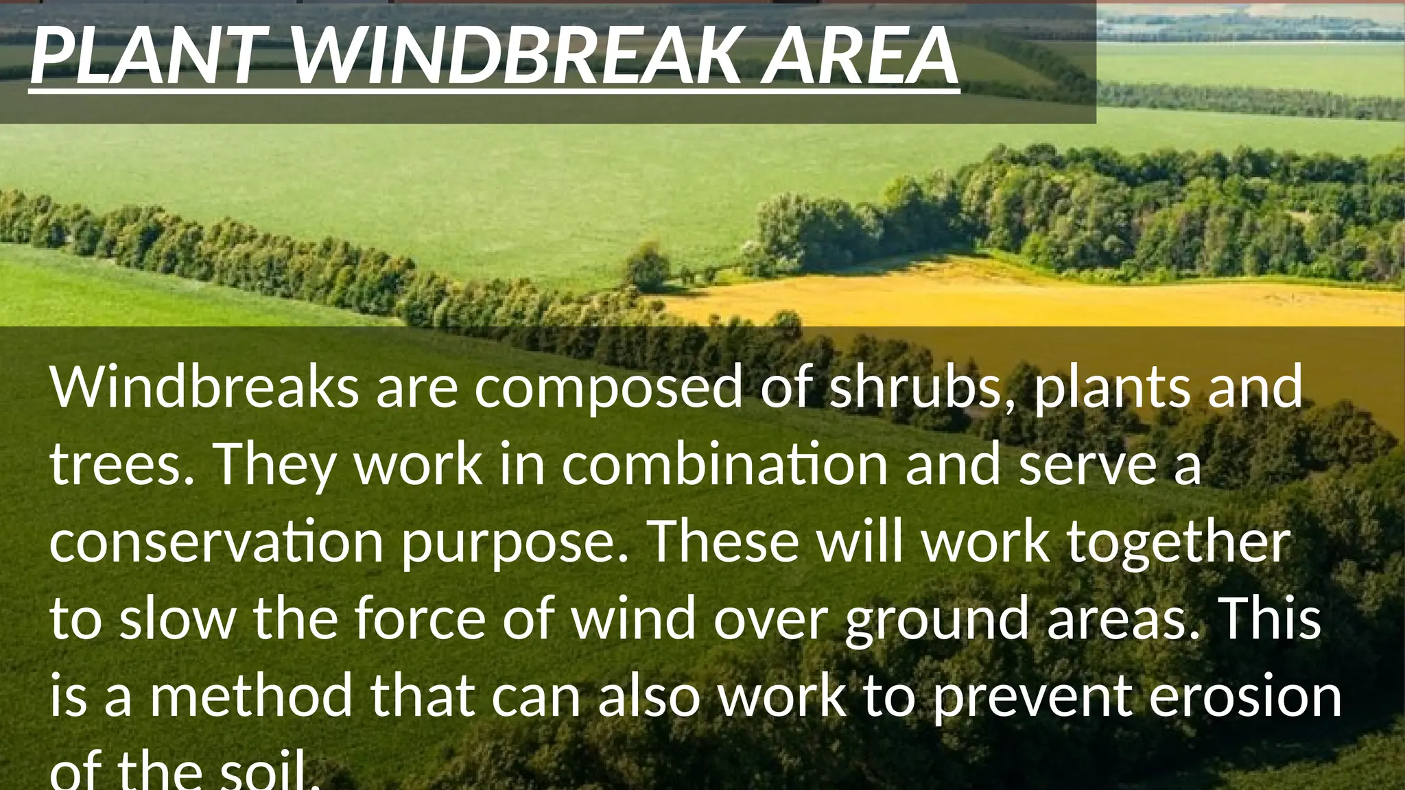 EARTH SCIENCE PDF GRADE 11 STEM visual data 8