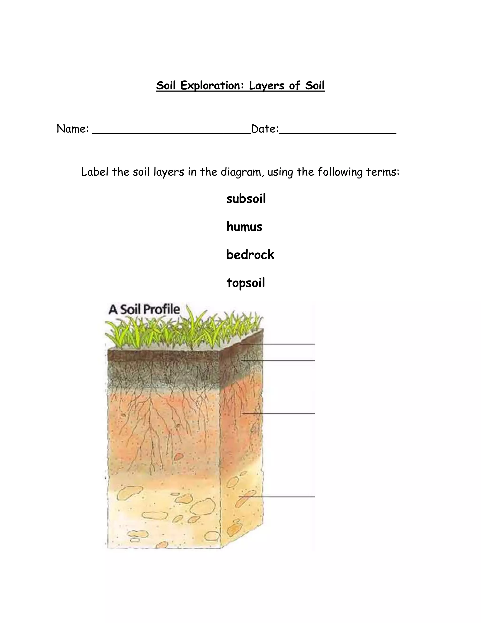 Soil Exploration: Layers of Soil


Name: _______________________Date:_________________


   Label the soil layers in the diagram, using the following terms:

                                subsoil

                                humus

                                bedrock

                                topsoil
 
