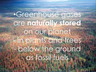 Greenhouse gases are naturally stored on our planet- in plants and trees- below the ground as fossil fuelsBut since the industrial revolution, human activity has caused these gases to be released at abnormal rates