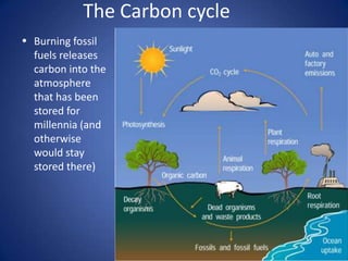 There is no debate that burning fossil fuels releases greenhouse gases into our atmosphere – or that we have burned a lot of fossil fuels since the industrial revolution.