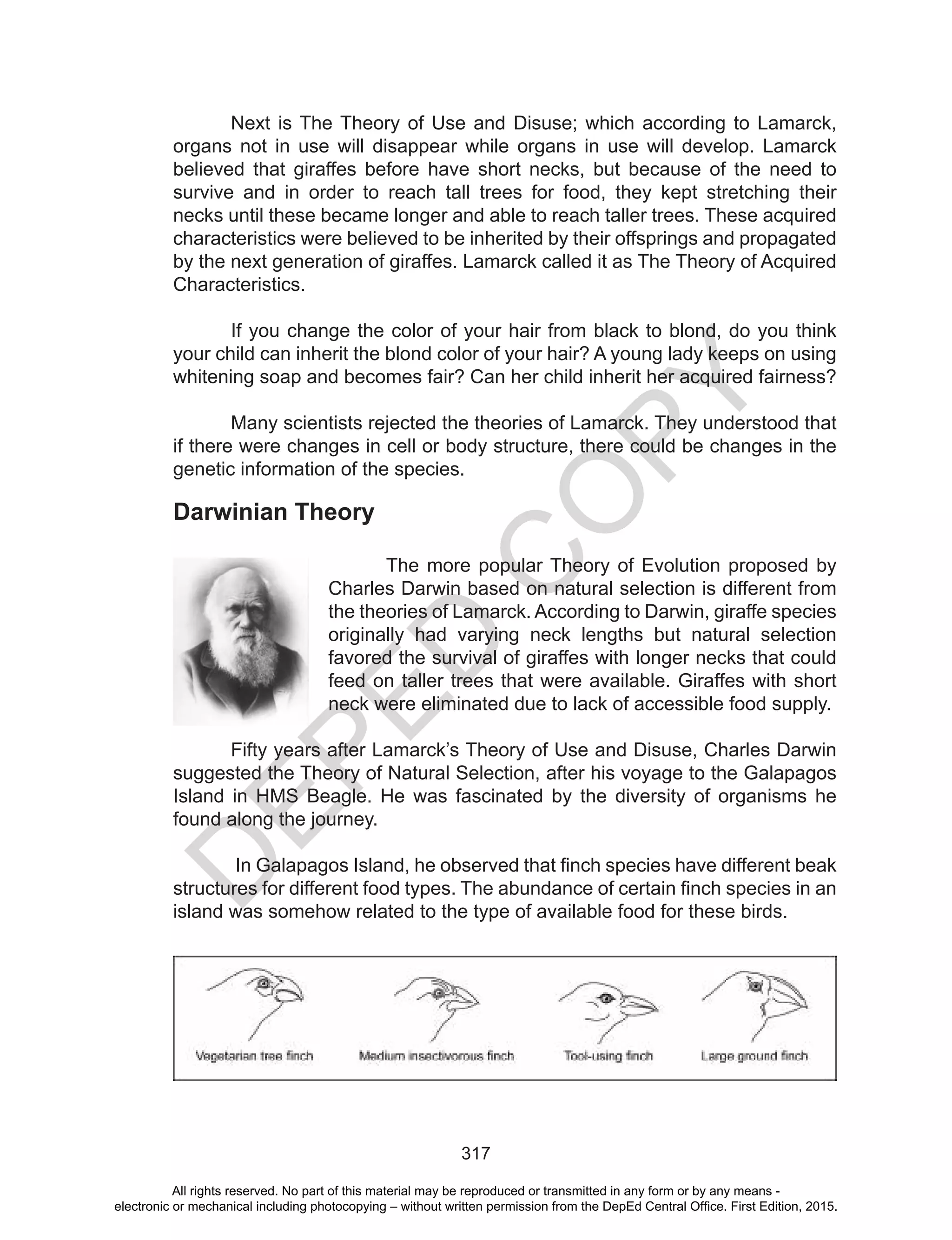 D
EPED
C
O
PY
317
Darwinian Theory
The more popular Theory of Evolution proposed by
Charles Darwin based on natural selection is different from
the theories of Lamarck. According to Darwin, giraffe species
originally had varying neck lengths but natural selection
favored the survival of giraffes with longer necks that could
feed on taller trees that were available. Giraffes with short
neck were eliminated due to lack of accessible food supply.
Fifty years after Lamarck’s Theory of Use and Disuse, Charles Darwin
suggested the Theory of Natural Selection, after his voyage to the Galapagos
Island in HMS Beagle. He was fascinated by the diversity of organisms he
found along the journey.
In Galapagos Island, he observed that finch species have different beak
structures for different food types. The abundance of certain finch species in an
island was somehow related to the type of available food for these birds.
Next is The Theory of Use and Disuse; which according to Lamarck,
organs not in use will disappear while organs in use will develop. Lamarck
believed that giraffes before have short necks, but because of the need to
survive and in order to reach tall trees for food, they kept stretching their
necks until these became longer and able to reach taller trees. These acquired
characteristics were believed to be inherited by their offsprings and propagated
by the next generation of giraffes. Lamarck called it as The Theory of Acquired
Characteristics.
If you change the color of your hair from black to blond, do you think
your child can inherit the blond color of your hair? A young lady keeps on using
whitening soap and becomes fair? Can her child inherit her acquired fairness?
Many scientists rejected the theories of Lamarck. They understood that
if there were changes in cell or body structure, there could be changes in the
genetic information of the species.
All rights reserved. No part of this material may be reproduced or transmitted in any form or by any means -
electronic or mechanical including photocopying – without written permission from the DepEd Central Office. First Edition, 2015.
 