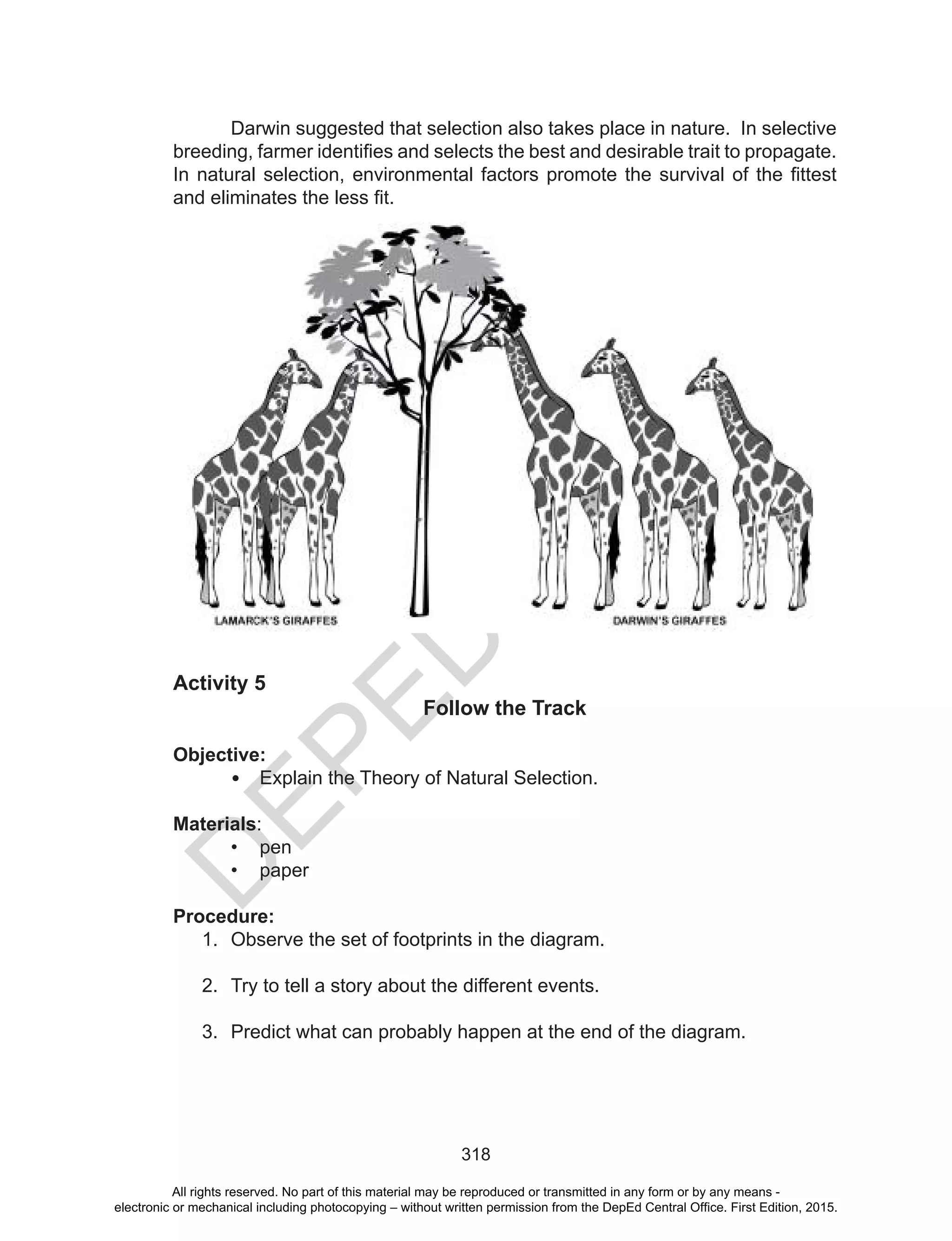 D
EPED
C
O
PY
318
Activity 5
Follow the Track
Objective:
•	 Explain the Theory of Natural Selection.
Materials:
•	 pen
•	 paper
Procedure:
1.	 Observe the set of footprints in the diagram.
2.	 Try to tell a story about the different events.
3.	 Predict what can probably happen at the end of the diagram.
Darwin suggested that selection also takes place in nature. In selective
breeding, farmer identifies and selects the best and desirable trait to propagate.
In natural selection, environmental factors promote the survival of the fittest
and eliminates the less fit.
All rights reserved. No part of this material may be reproduced or transmitted in any form or by any means -
electronic or mechanical including photocopying – without written permission from the DepEd Central Office. First Edition, 2015.
 